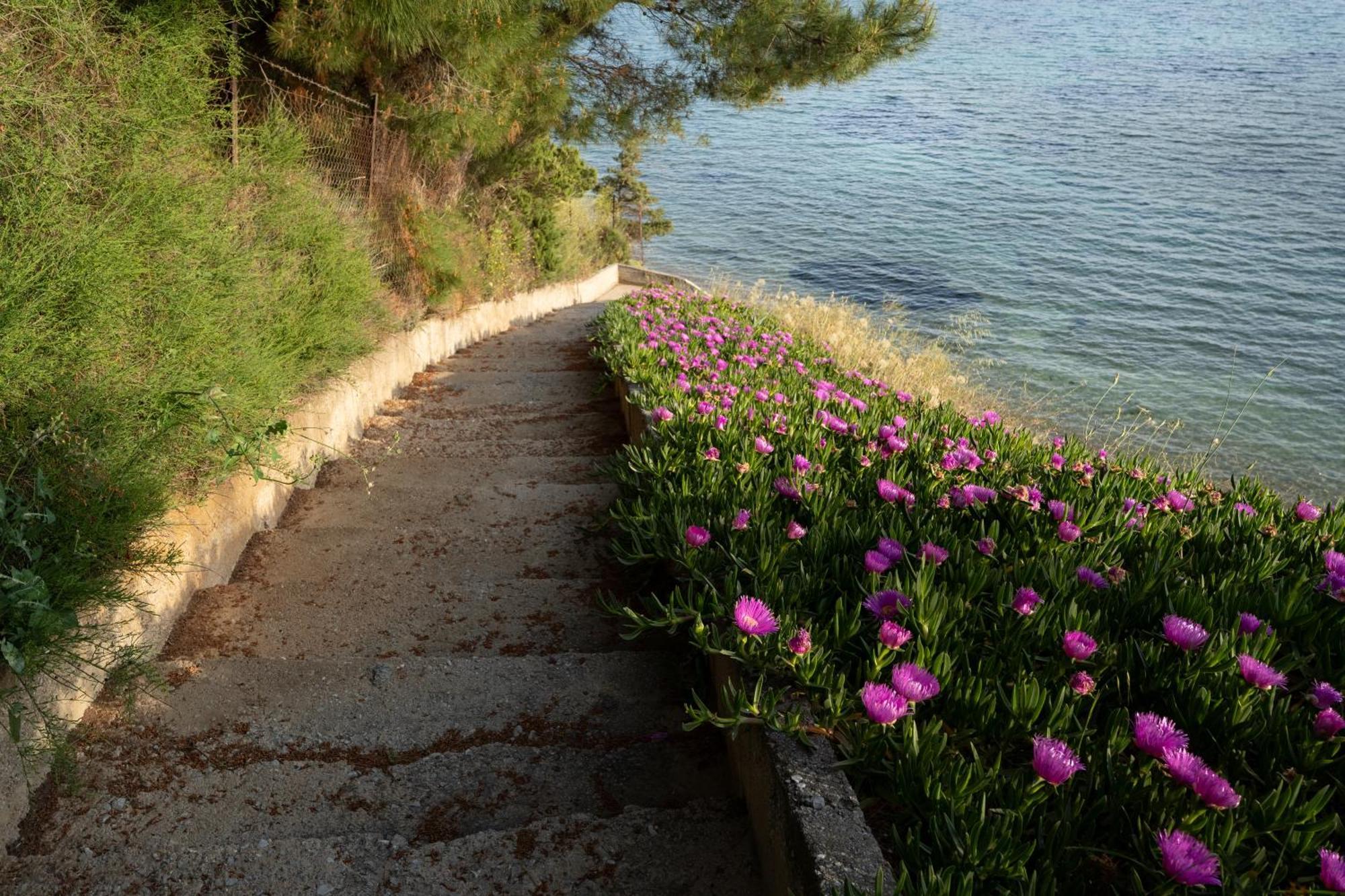 Sunshine House Offering Spectacular Views To Olymp A Apartment Nea Iraklia Bagian luar foto